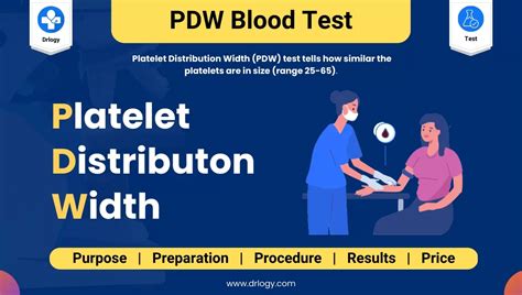 Platelet Distribution Width (PDW) Blood Test: Interpretation .